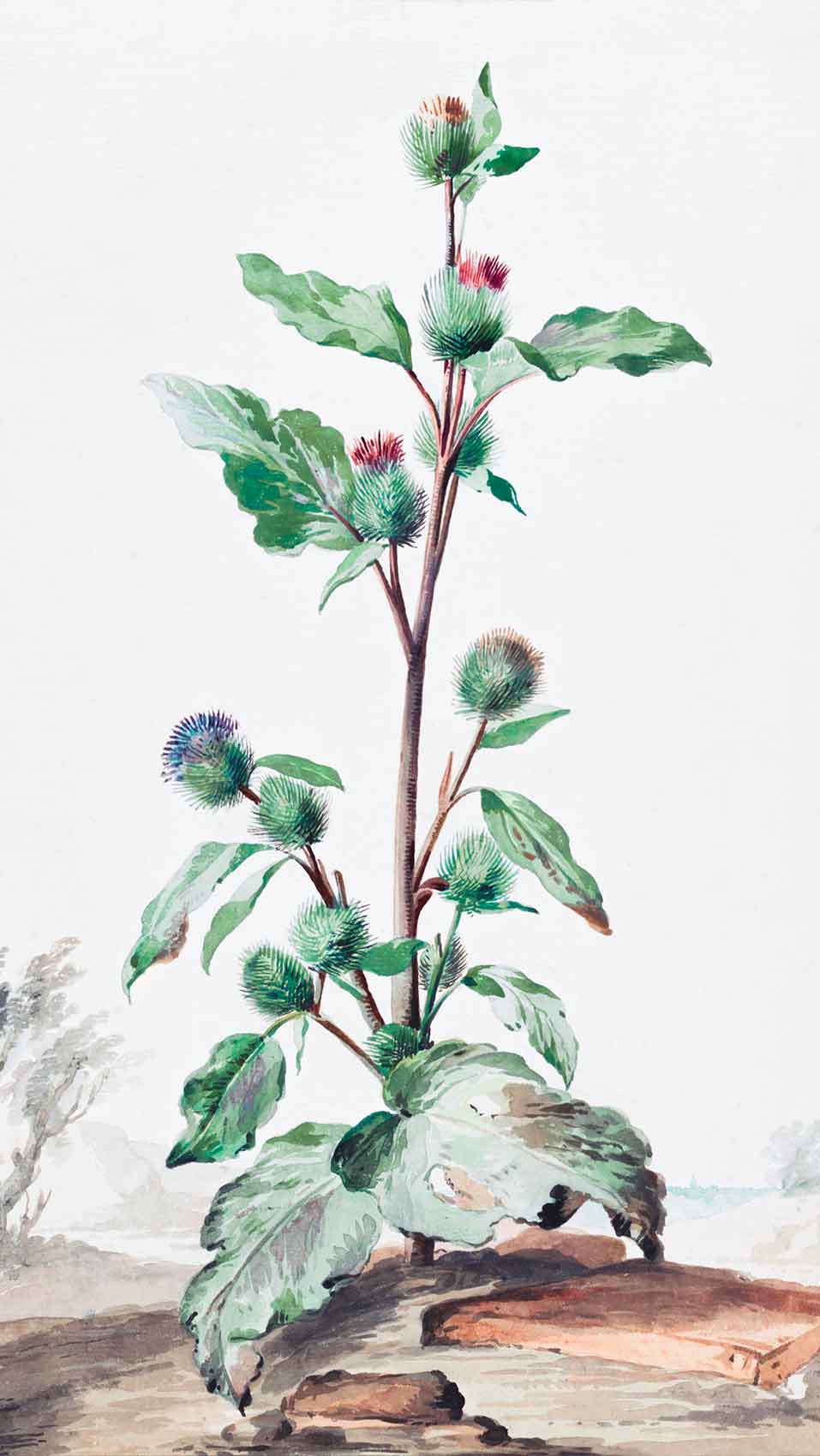 ART TNT Art master piece